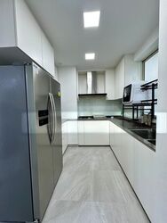 Oleander Towers (D12), Apartment #526579971